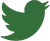 Zielona ikona Twittera